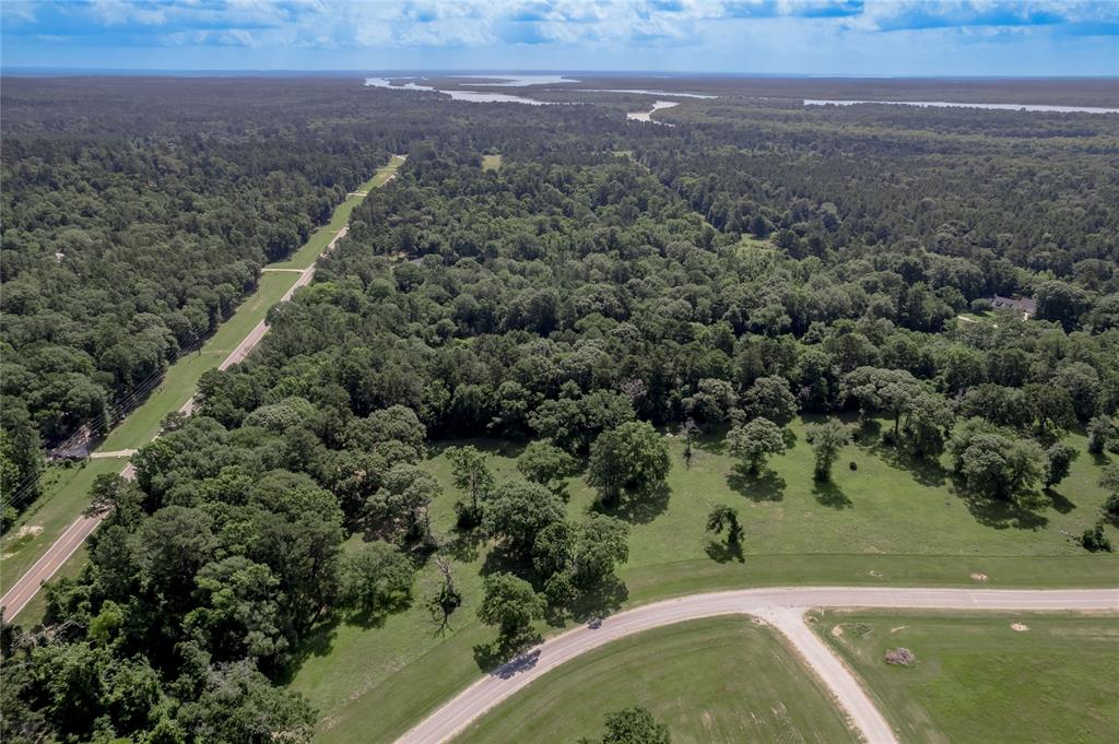 Lot 3 Tara Drive, Trinity, Texas image 15