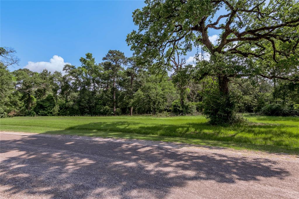 Lot 3 Tara Drive, Trinity, Texas image 4