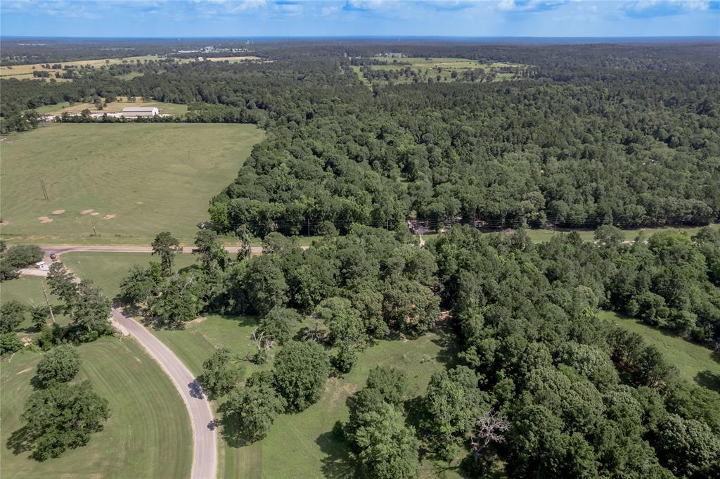 Lot 3 Tara Drive, Trinity, Texas image 19