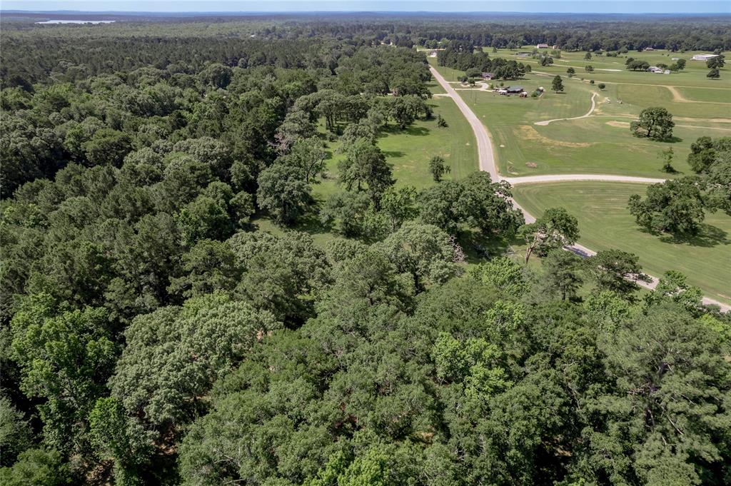 Lot 3 Tara Drive, Trinity, Texas image 22