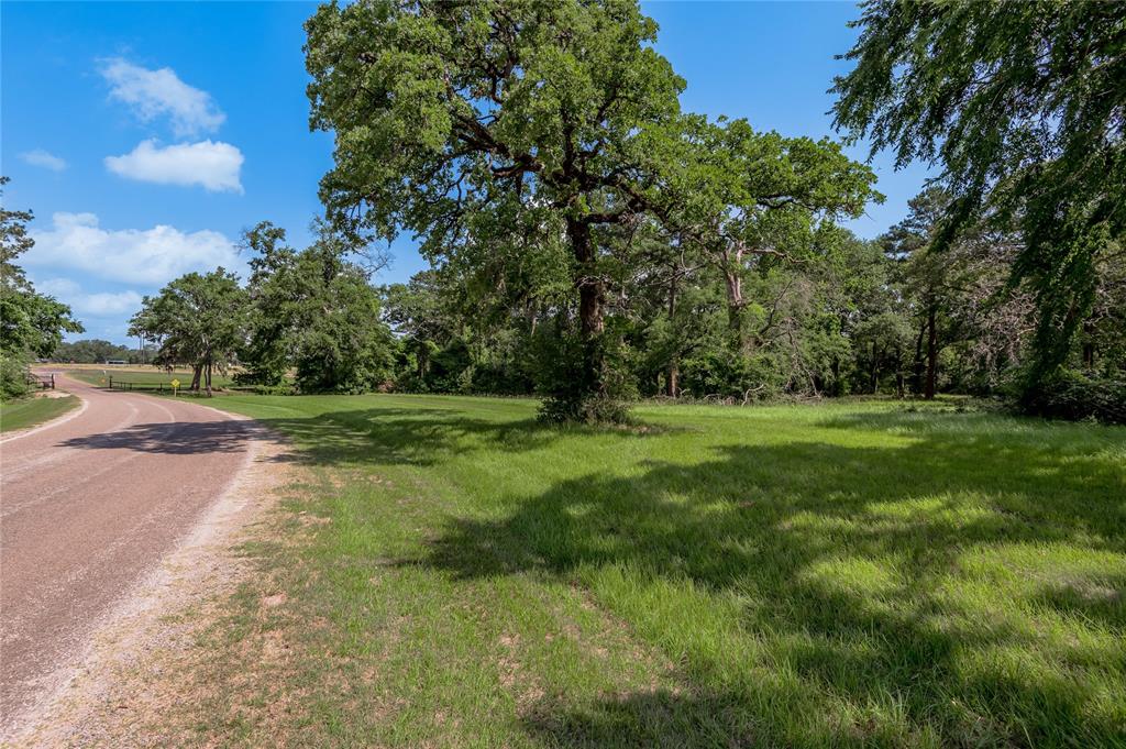 Lot 3 Tara Drive, Trinity, Texas image 1