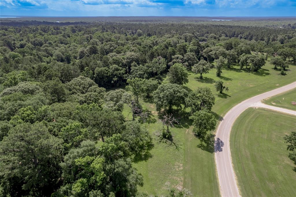 Lot 3 Tara Drive, Trinity, Texas image 21