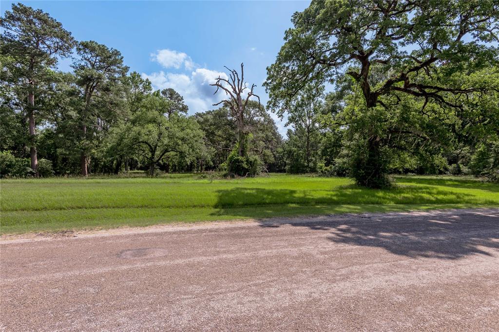 Lot 3 Tara Drive, Trinity, Texas image 6