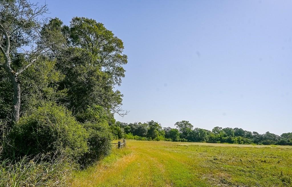 1375 County Road 234a, Hallettsville, Texas image 10