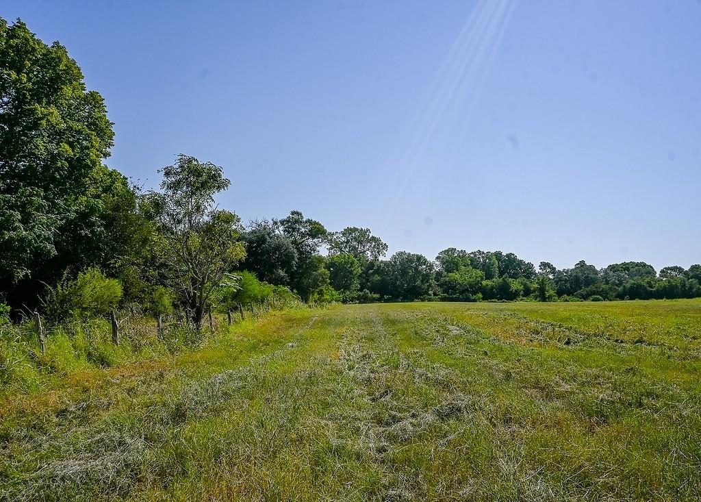 1375 County Road 234a, Hallettsville, Texas image 7