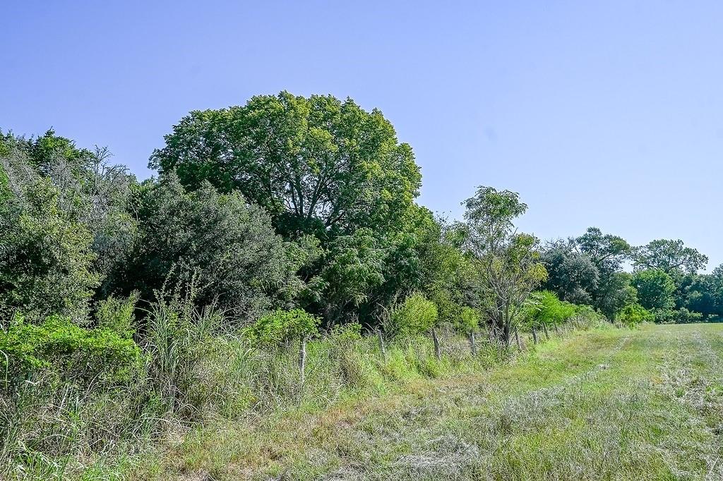 1375 County Road 234a, Hallettsville, Texas image 16