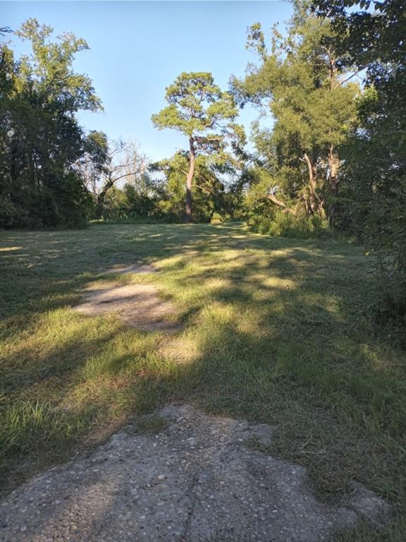 8115 Five Notch Road, Marshall, Texas image 9