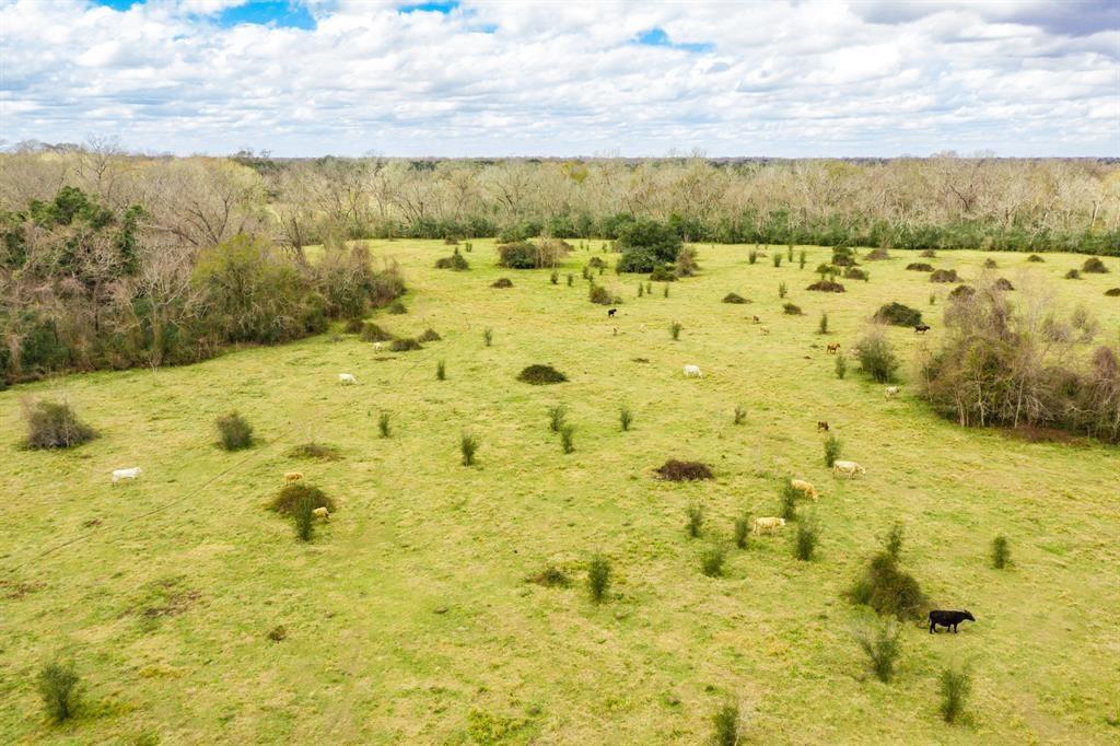 County Rd 31, Angleton, Texas image 5