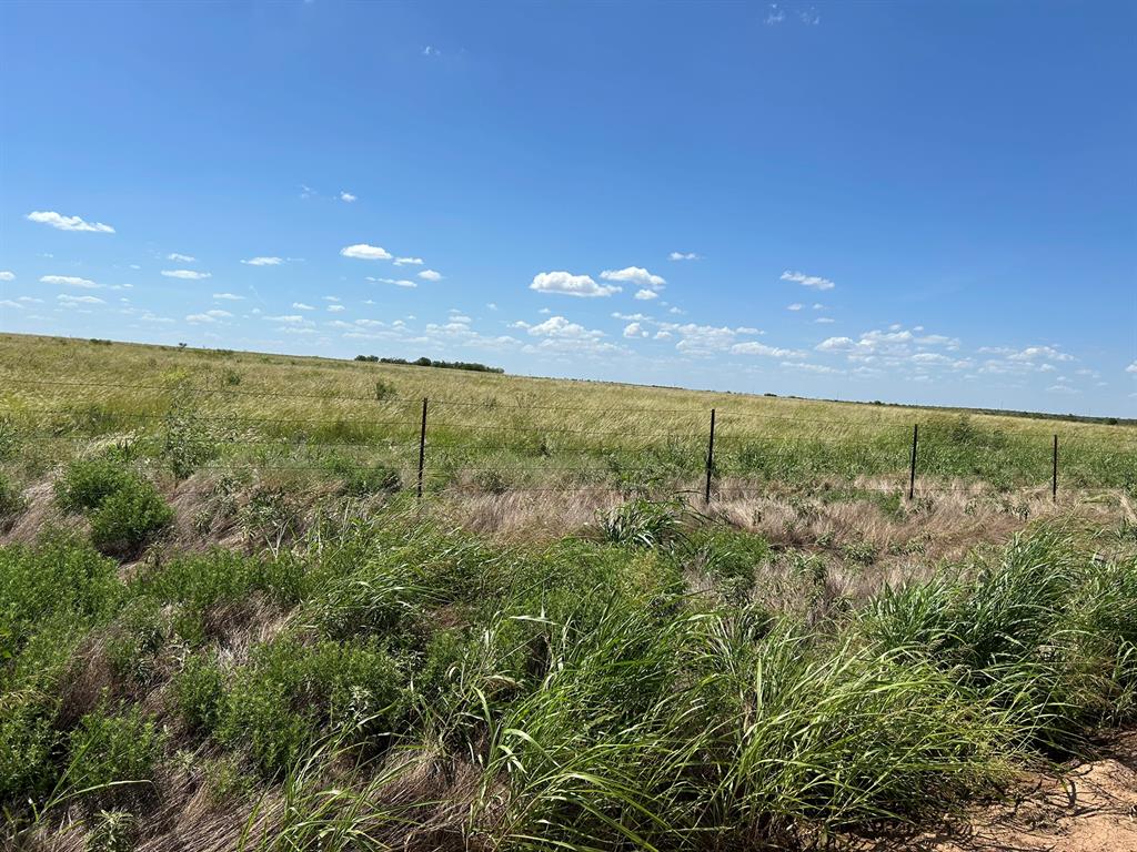 1/4NE BOYD LOOP