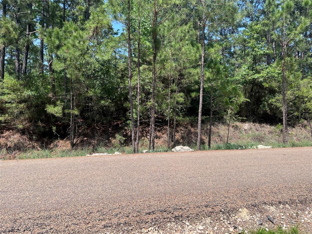TBD E Moonlight Drive, Onalaska, Texas image 4