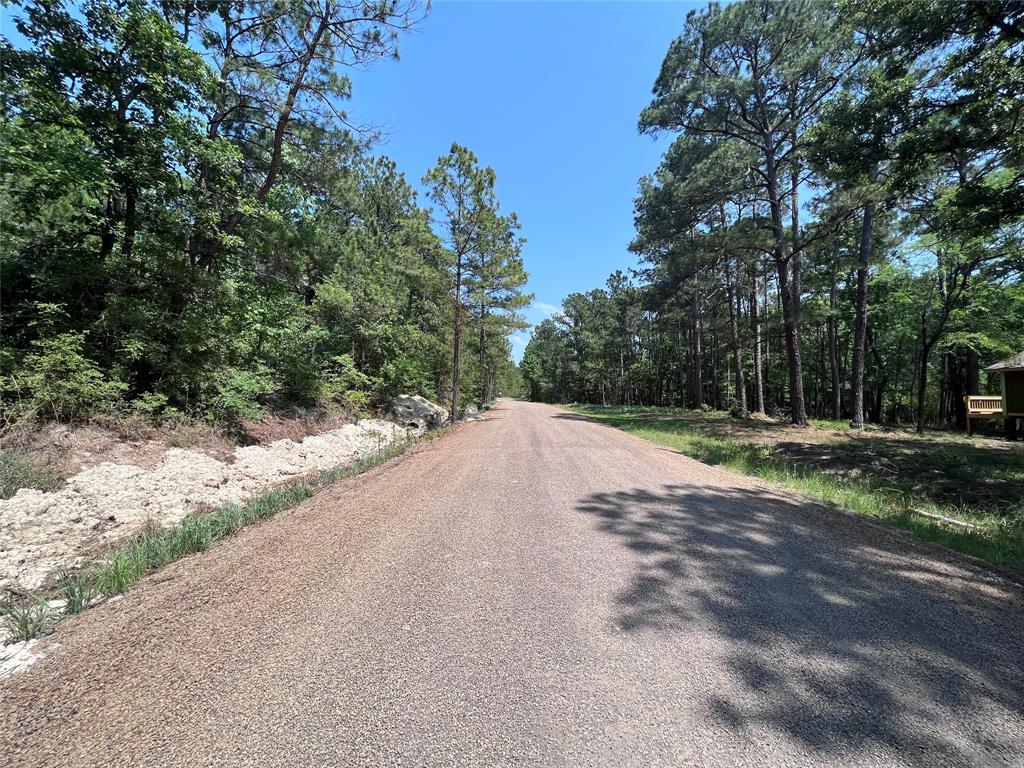 TBD E Moonlight Drive, Onalaska, Texas image 18