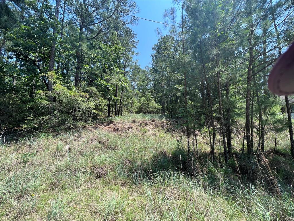 TBD E Moonlight Circle, Onalaska, Texas image 10
