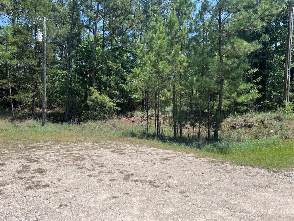 TBD E Moonlight Circle, Onalaska, Texas image 3