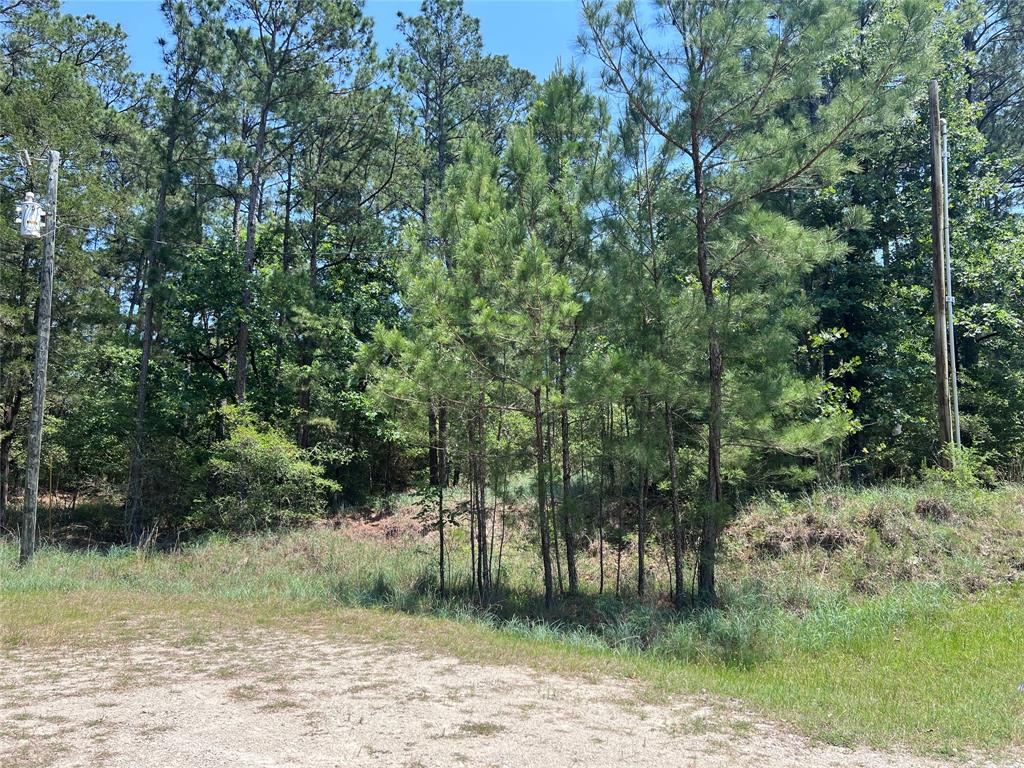 TBD E Moonlight Circle, Onalaska, Texas image 7