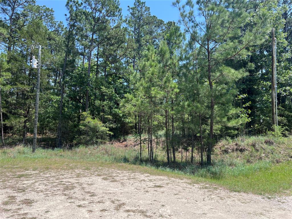 TBD E Moonlight Circle, Onalaska, Texas image 13