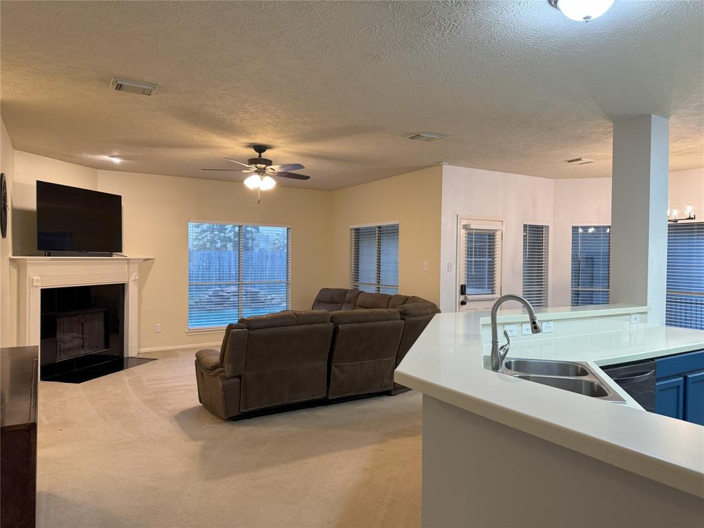 2406 Meadow Tree Lane, Spring, Texas image 8