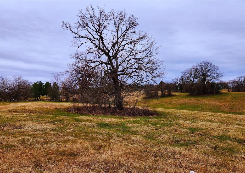 Lot 125 Clear View Court, Athens, Texas image 16