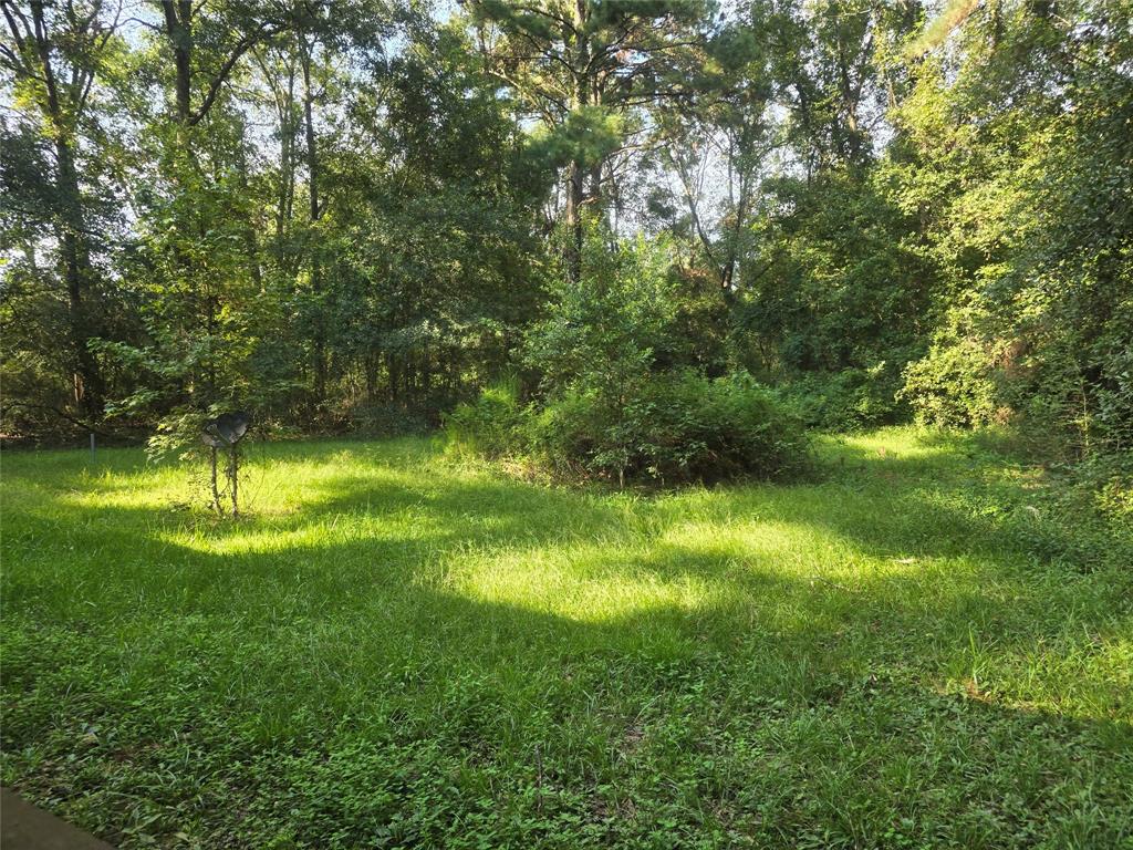 136 County Road 2312, Dayton, Texas image 13