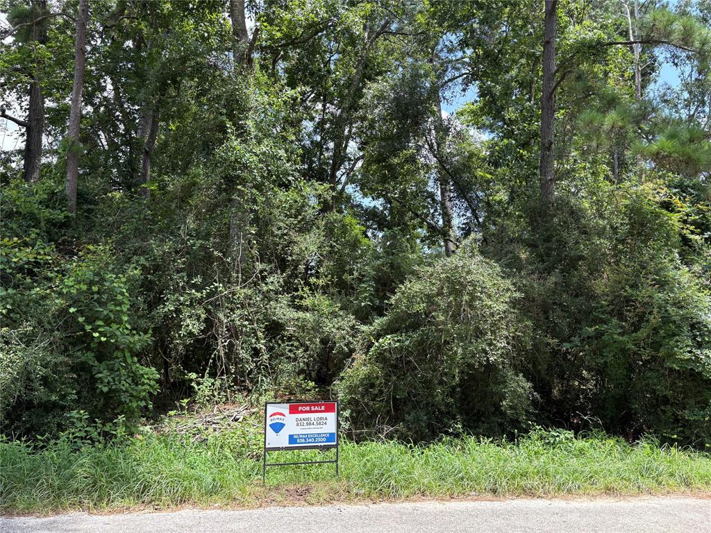 17321 Shadow Lane