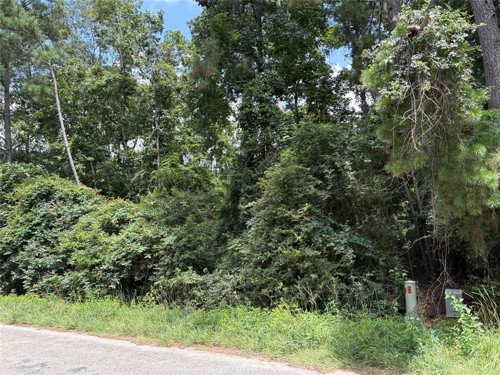 17321 Shadow Lane