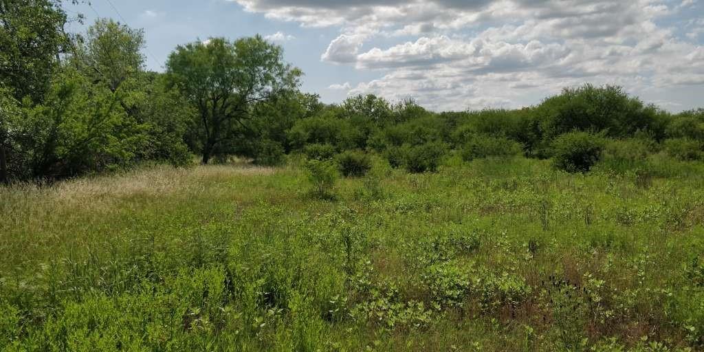 E County Road 678, Natalia, Texas image 3