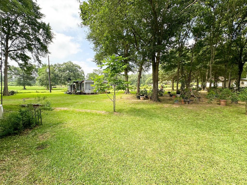 6673 Planters Row Lane, Plantersville, Texas image 14