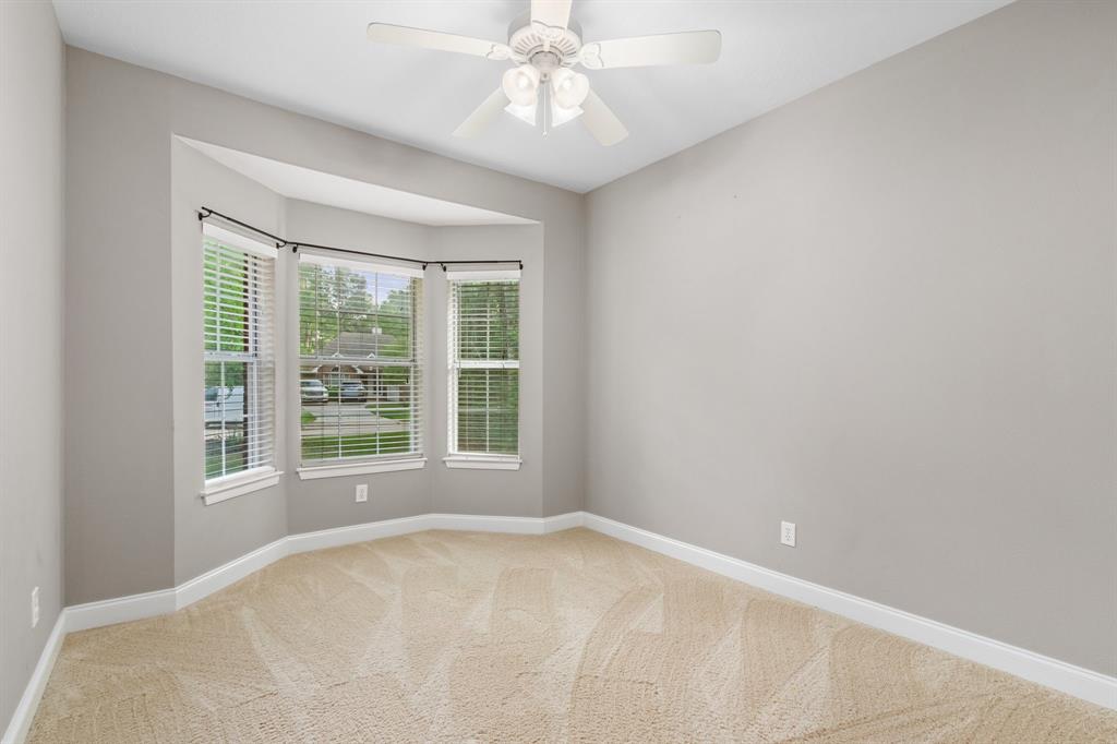 10 Leaf Spring Place, The Woodlands, Texas image 22