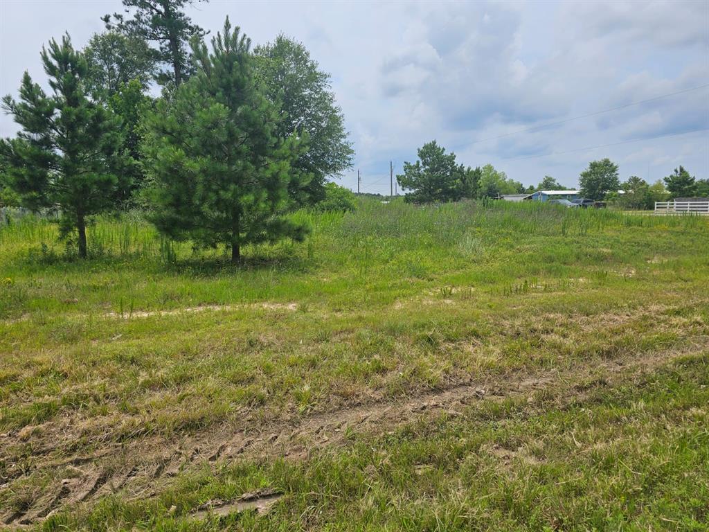 OF Road 3542, Cleveland, Texas image 2