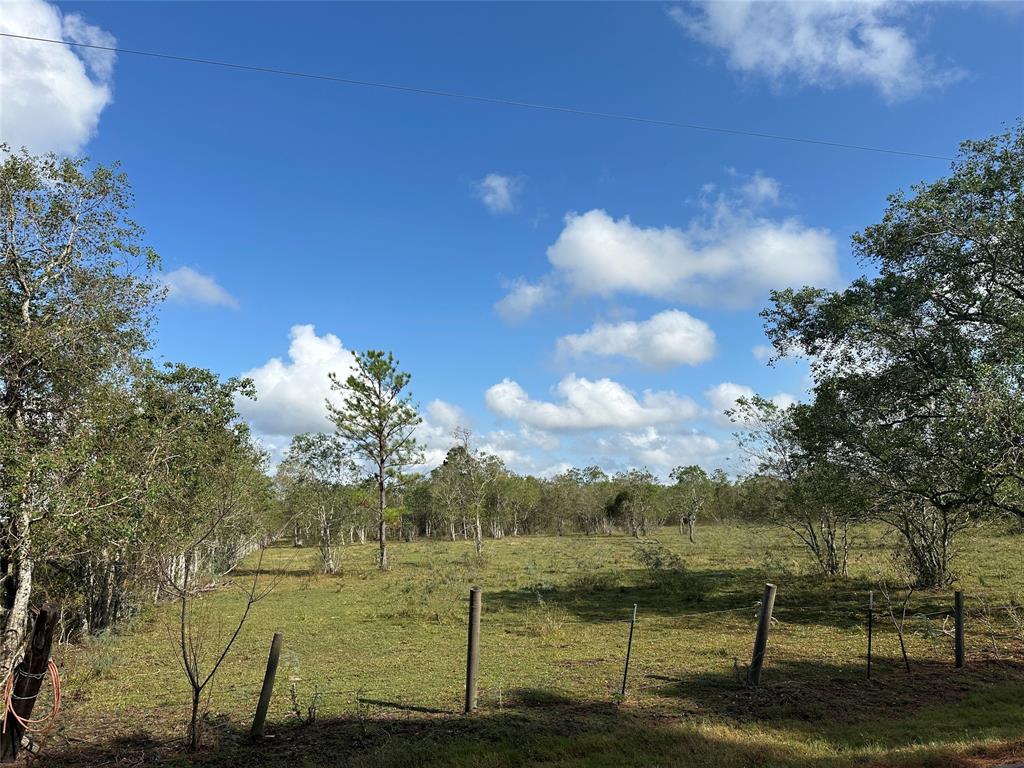 County Rd 63, Rosharon, Texas image 2