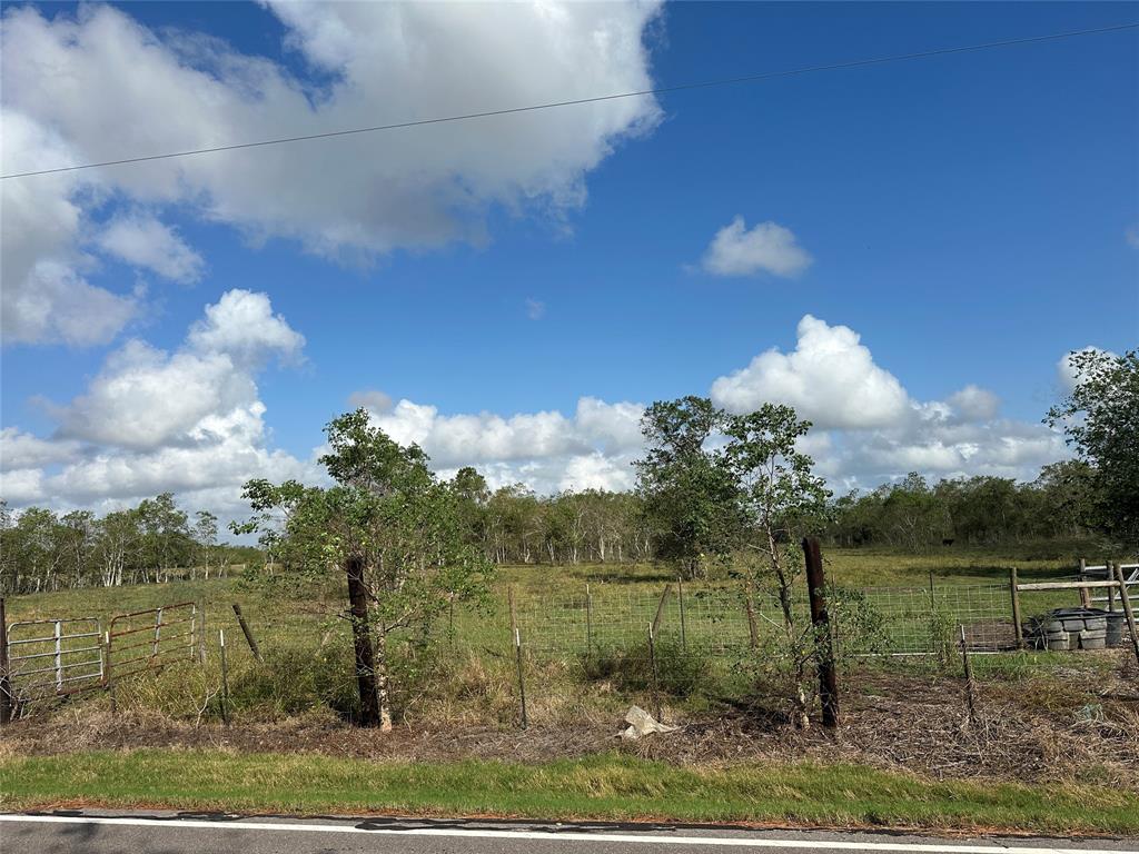 County Rd 63, Rosharon, Texas image 6