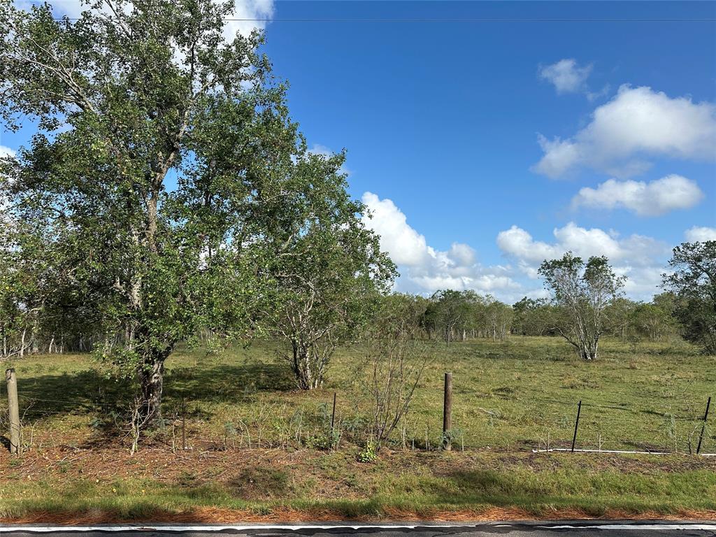 County Rd 63, Rosharon, Texas image 4