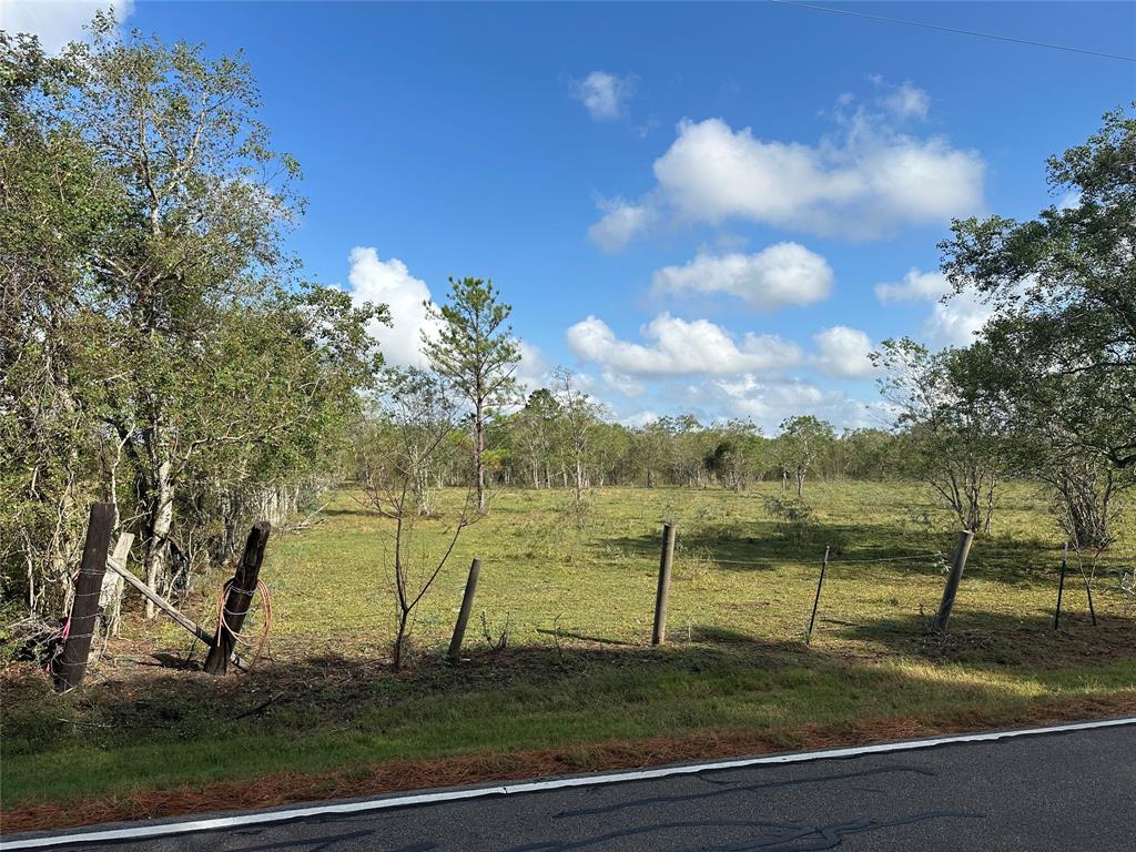 County Rd 63, Rosharon, Texas image 3