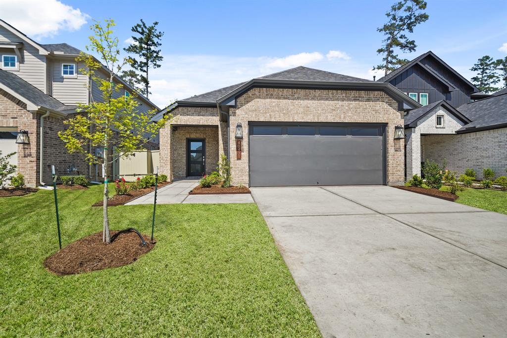 40431 Gerygone Lane, Magnolia, Texas image 1