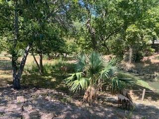5731 Kemp Street, Houston, Texas image 6