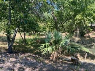 5731 Kemp Street, Houston, Texas image 7