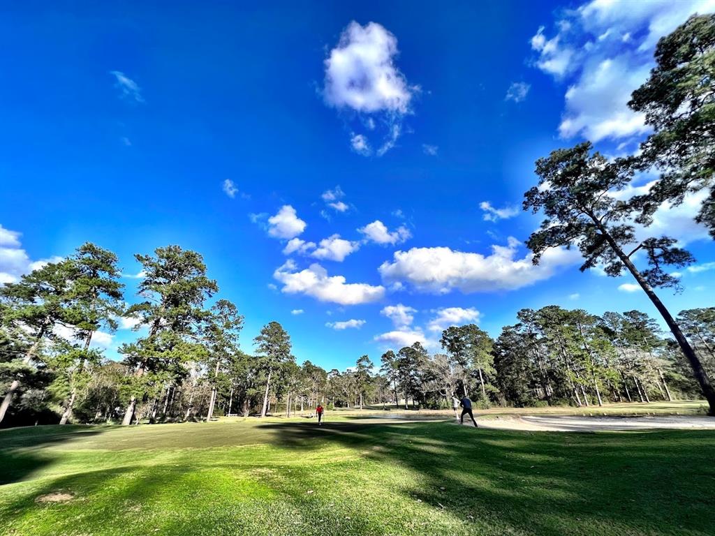 TBD Forest Road, Crockett, Texas image 8