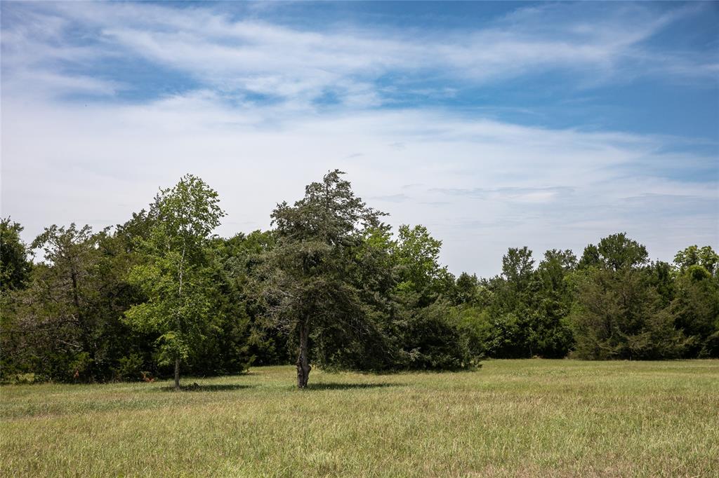 5427 Mustang Road, Brenham, Texas image 8