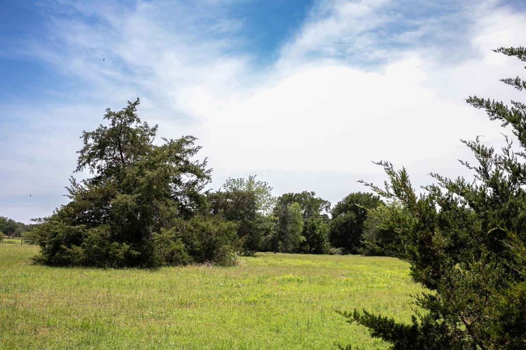 5427 Mustang Road, Brenham, Texas image 19