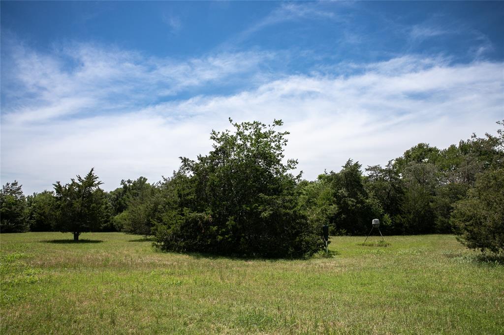 5427 Mustang Road, Brenham, Texas image 12