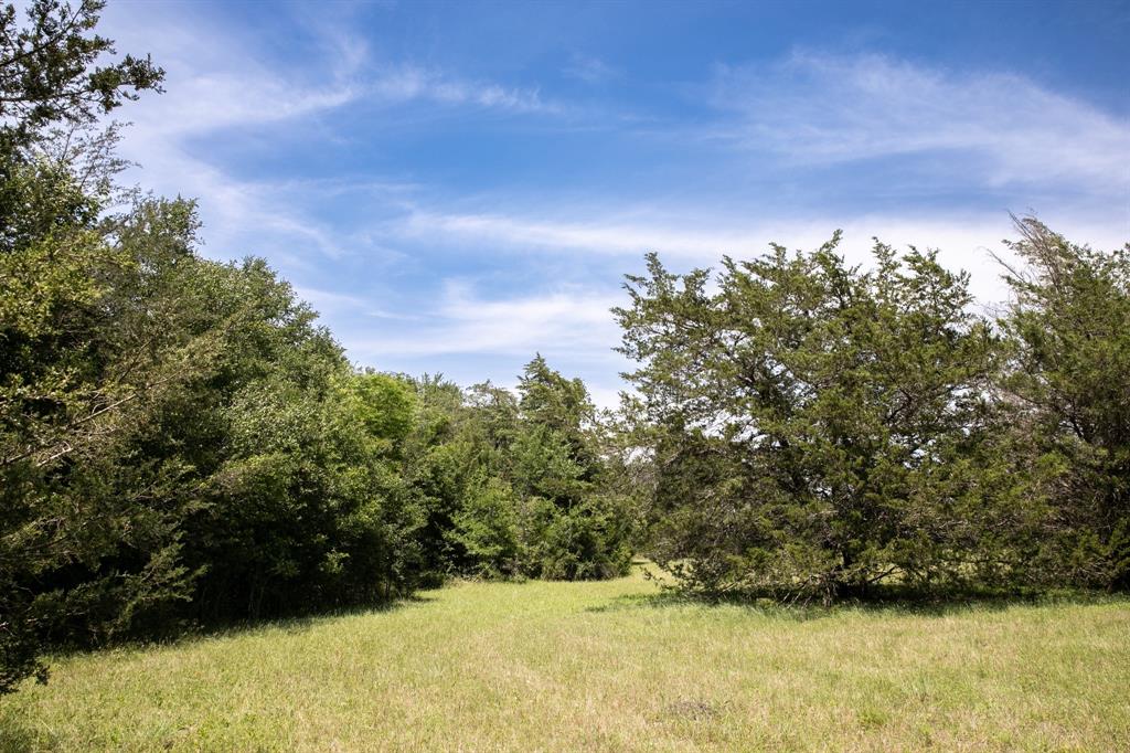5427 Mustang Road, Brenham, Texas image 16