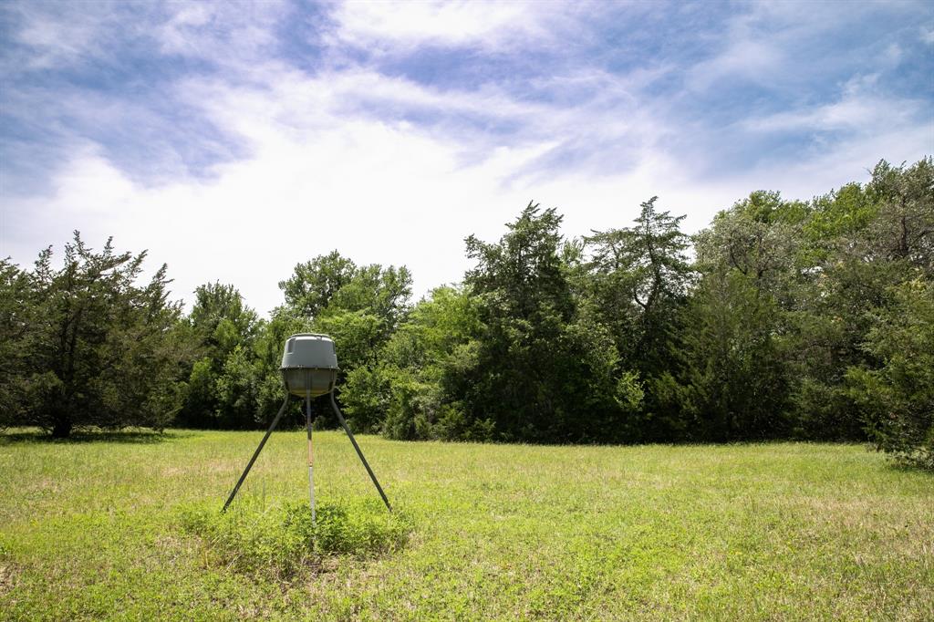 5427 Mustang Road, Brenham, Texas image 17