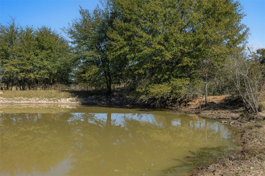 10.4 AC Farm To Market 1940, Franklin, Texas image 6