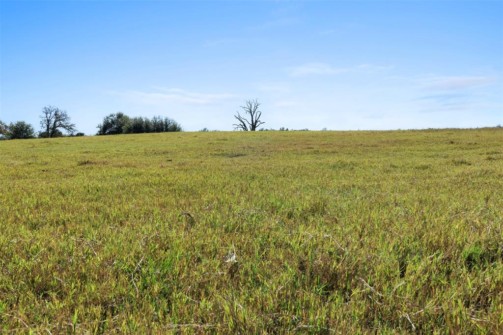 10.4 AC Farm To Market 1940, Franklin, Texas image 5