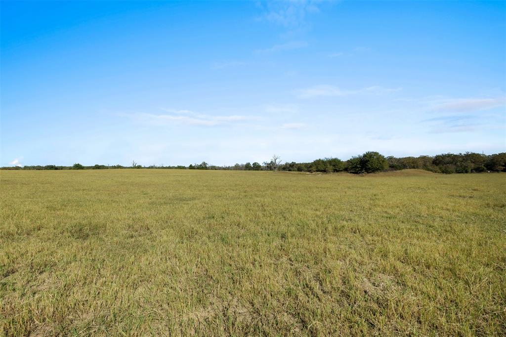 10.4 AC Farm To Market 1940, Franklin, Texas image 7