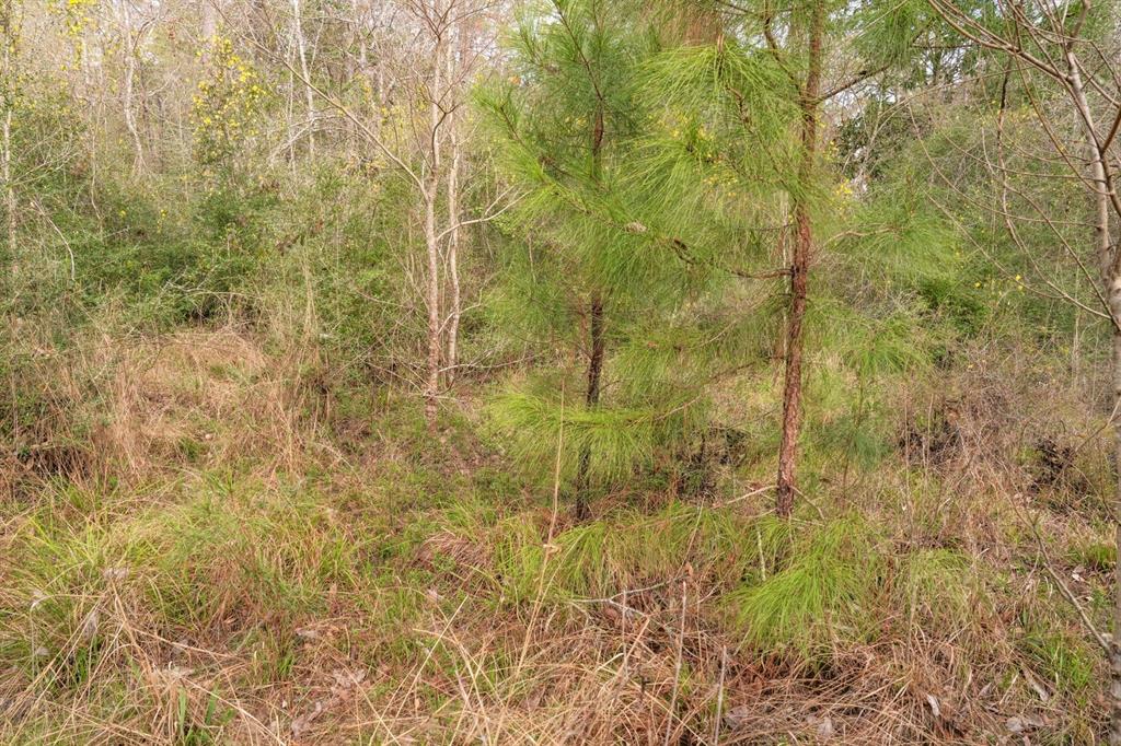 TBD 2 County Road 2052, Newton, Texas image 18