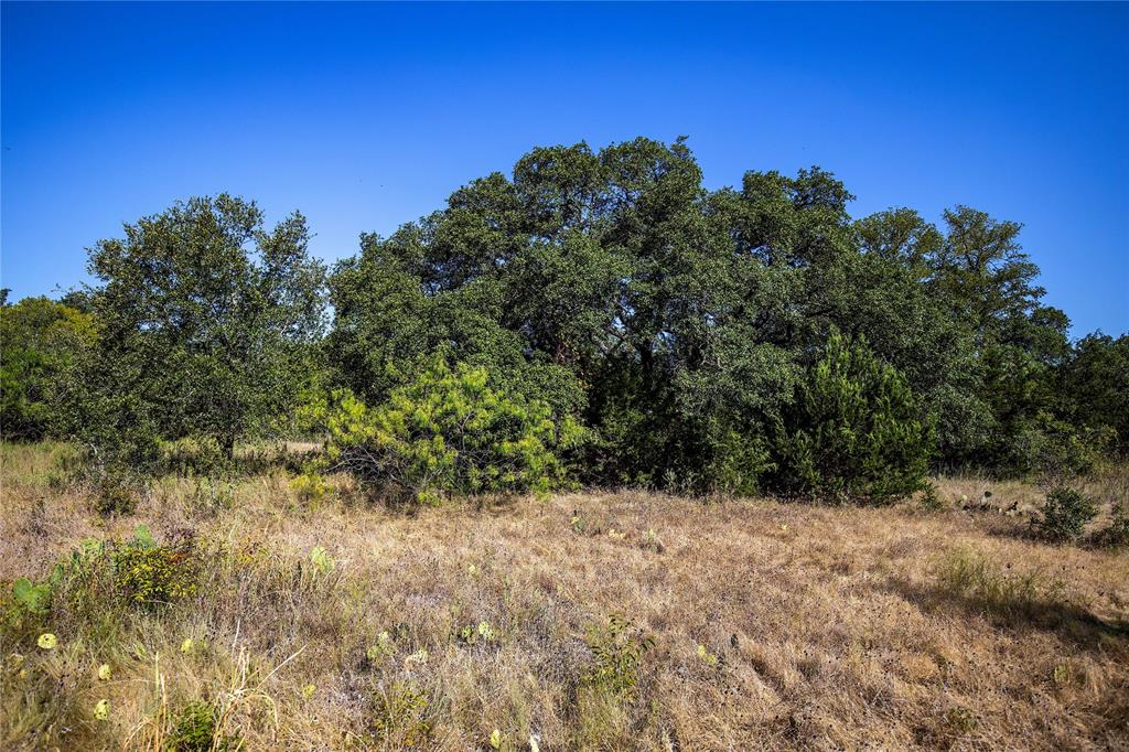 TBD River Run Road, Leander, Texas image 7