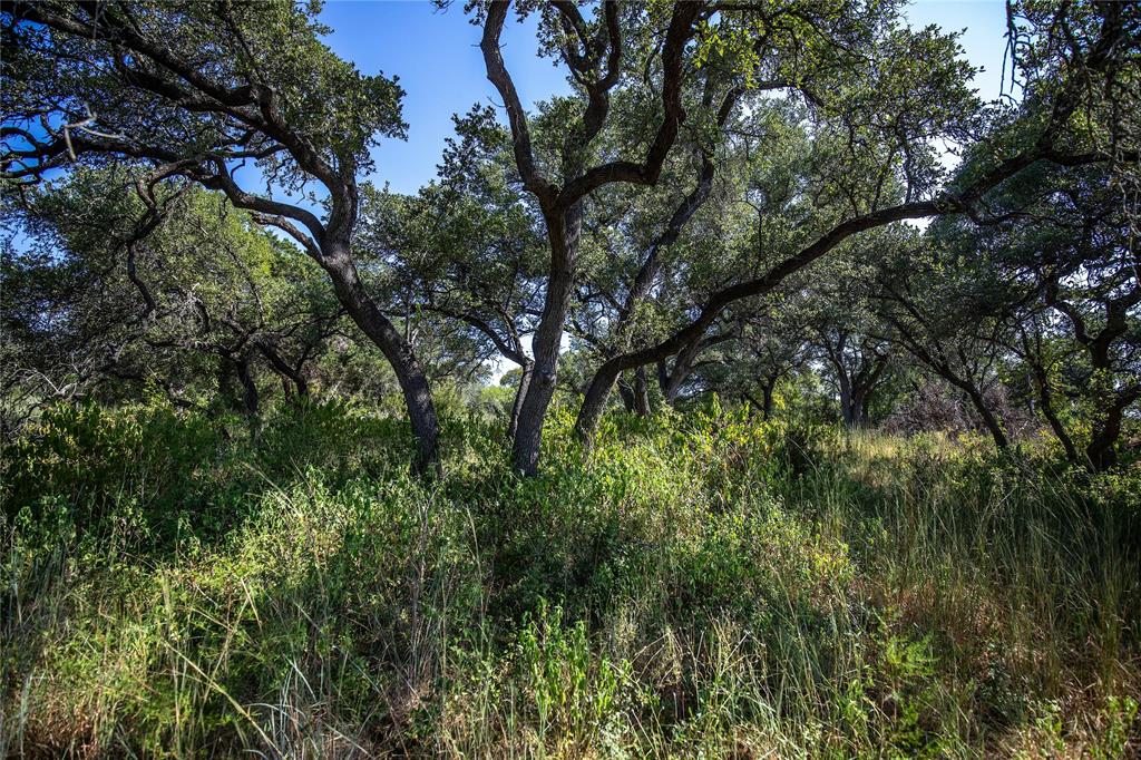 TBD River Run Road, Leander, Texas image 9