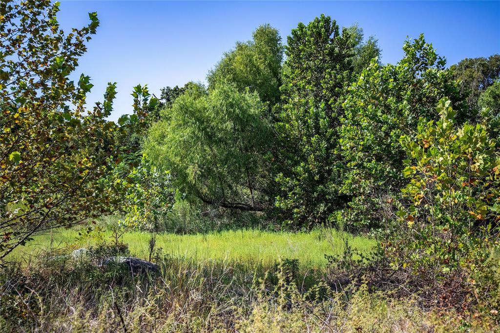 TBD River Run Road, Leander, Texas image 8