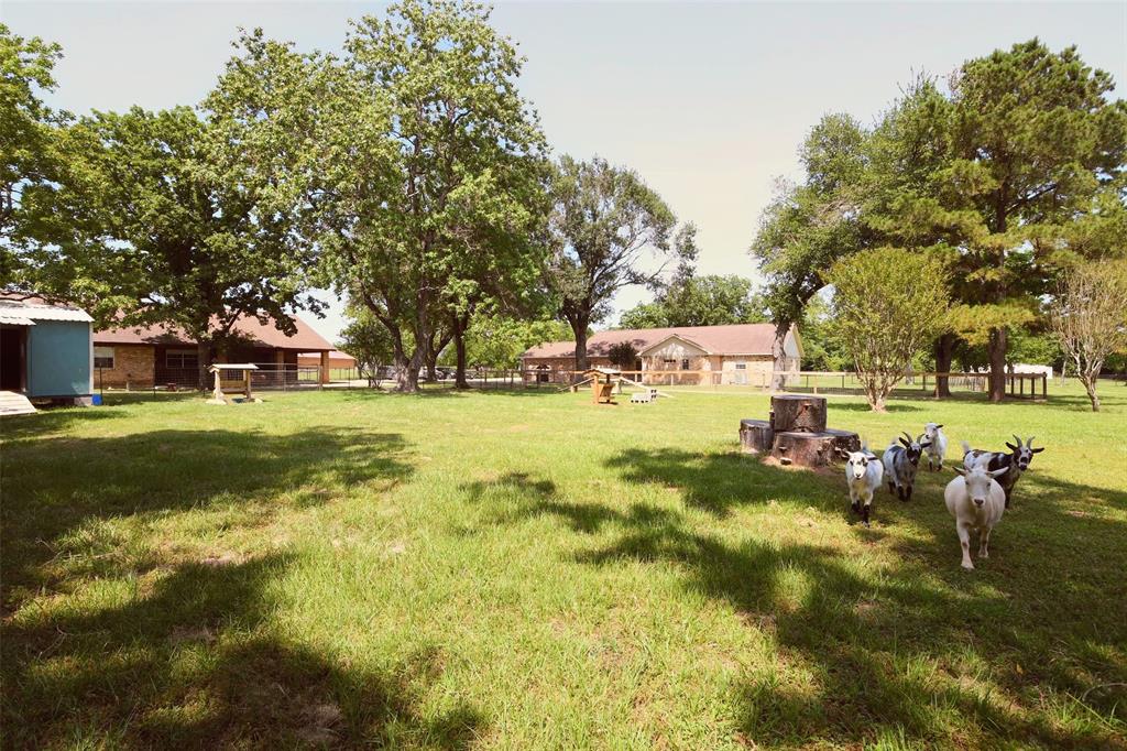 22035 Buescher Road, Tomball, Texas image 49