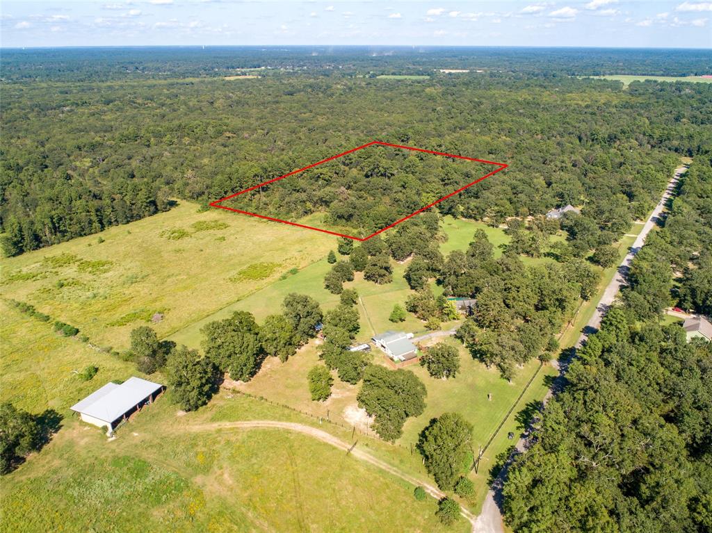 Lot10 Palmetto, Magnolia, Texas image 11